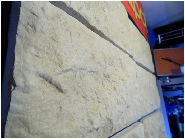 Wzór "SALOMON" - Image 3